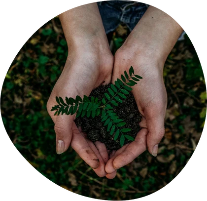 Green Cleaning Initiative from JANECO